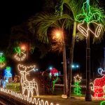 ❖ MANABÍ ▮Árboles de Navidad se encienden en varios cantones