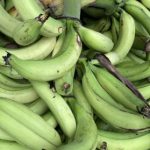 ❖MANABÍ▮Precio del plátano se dispara hasta $18 por racimo
