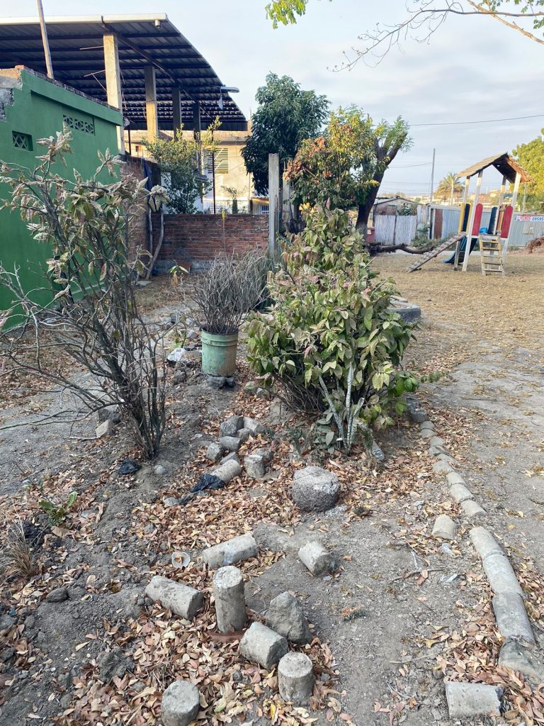 Algunas de las plantas sembradas en el parque de la ciudadela Nueva Kennedy han empezado a marchitarse desde que disminuyó la presencia de personas. 