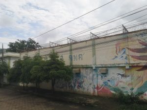 IMG-20260217-WA0011.jpg