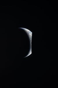 20260407_155553.jpg