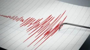 terremoto_referencial.png_424467086.webp