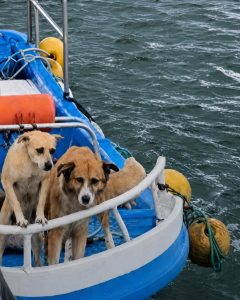 FB_IMG_1780949492680.jpg