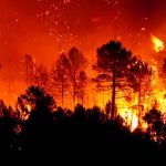 ❖ MANABÍ▮Presentarán campaña nacional para prevenir inc3ndi0s forestales en Portoviejo