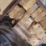 ❖ ECUADOR▮Golp3 a estructuras crimin@les: incautan avioneta, dinero y hallan pistas clandestinas en Ecuador
