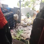 ❖ MANABÍ▮Clausuran restaurante en El Carmen tras encontrar roedores mu3rt0s