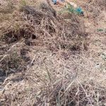 ❖ MANABÍ▮Uno de los tres cu3rp0s hallados en Montecristi ya tiene identidad