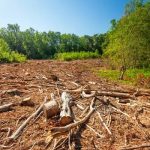 ❱❱❱ ECUADOR ▮ El cambio climático ya es la segunda mayor amenaza para los negocios en Ecuador