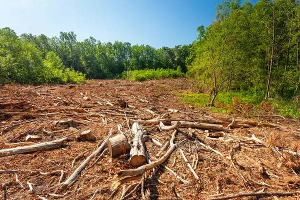 Cambio climático