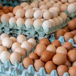 ❖ MANABÍ▮Precio del huevo se dispara en mercados manabitas