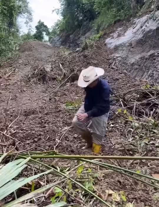 FB_IMG_1792547970779