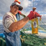 ❖ ECUADOR▮Luces LED en redes de pesca reducen la captura incidental de especies marinas