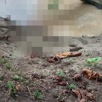 ❖MANABI▮Hallan a una persona sin v1d4 a orillas del río Mosquito